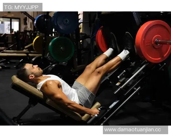 健身之道：从基础训练到专业技巧全面解析打造健康强身的终极指南